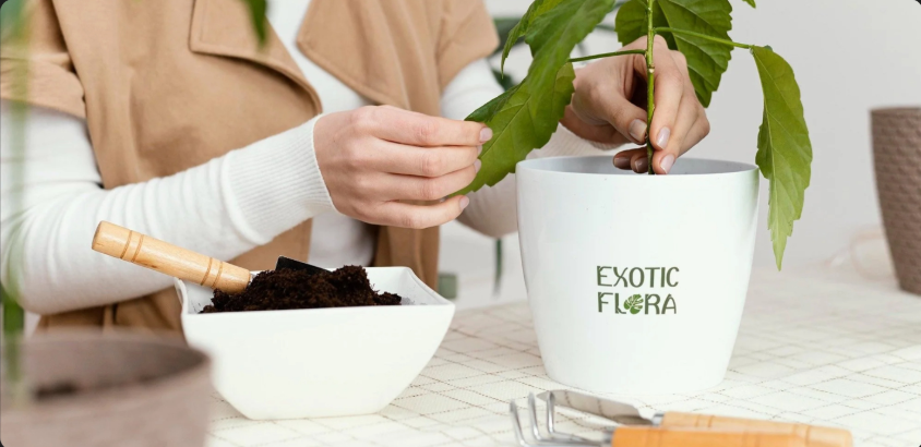 Exotic Flora